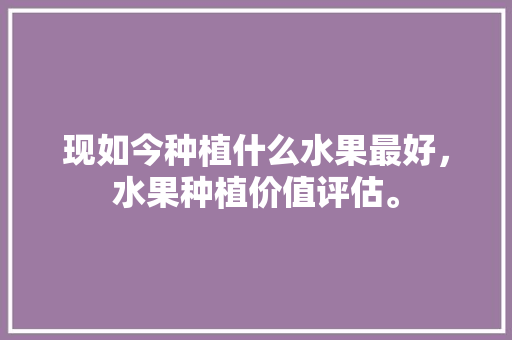 现如今种植什么水果最好，水果种植价值评估。