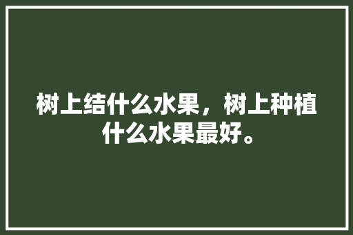 树上结什么水果，树上种植什么水果最好。 树上结什么水果，树上种植什么水果最好。 蔬菜种植