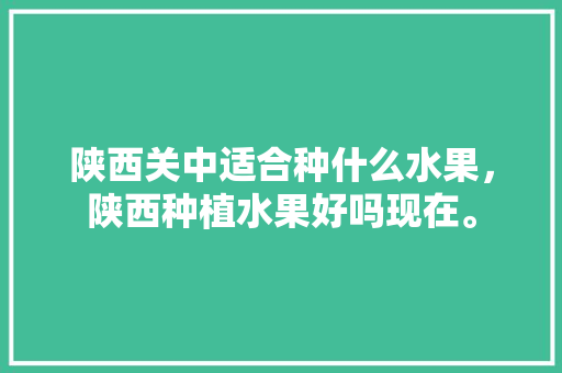 陕西关中适合种什么水果，陕西种植水果好吗现在。