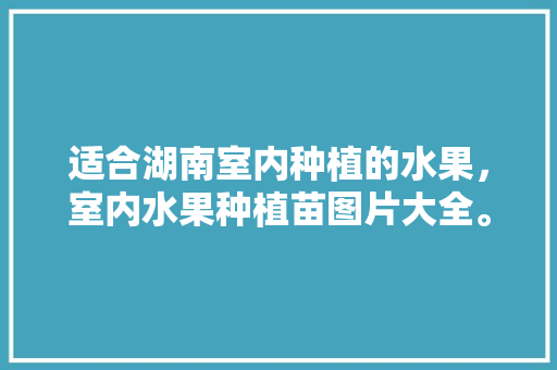 适合湖南室内种植的水果，室内水果种植苗图片大全。