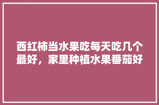 西红柿当水果吃每天吃几个最好，家里种植水果番茄好吗。