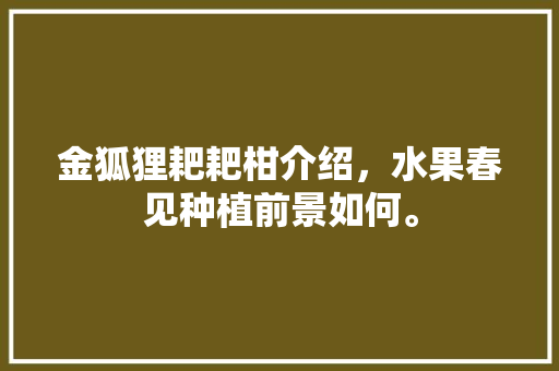 金狐狸耙耙柑介绍，水果春见种植前景如何。