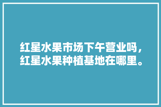 红星水果市场下午营业吗，红星水果种植基地在哪里。