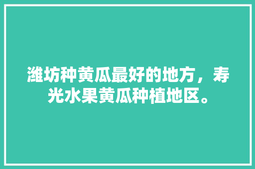 潍坊种黄瓜最好的地方，寿光水果黄瓜种植地区。