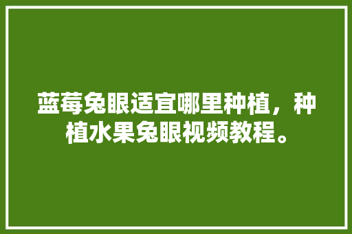 蓝莓兔眼适宜哪里种植，种植水果兔眼视频教程。 蓝莓兔眼适宜哪里种植，种植水果兔眼视频教程。 家禽养殖