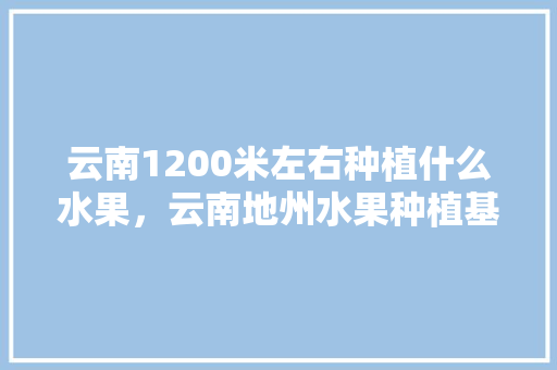 云南1200米左右种植什么水果，云南地州水果种植基地。