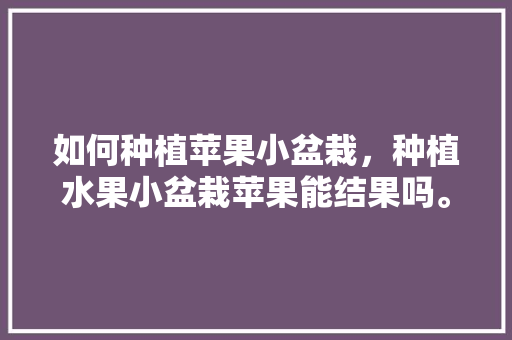 如何种植苹果小盆栽，种植水果小盆栽苹果能结果吗。