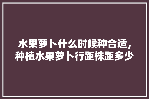 水果萝卜什么时候种合适，种植水果萝卜行距株距多少。 水果种植