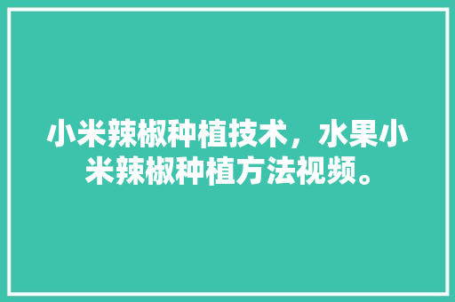 小米辣椒种植技术，水果小米辣椒种植方法视频。