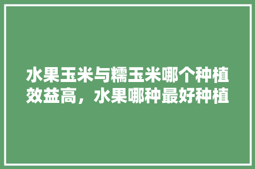 水果玉米与糯玉米哪个种植效益高，水果哪种最好种植呢图片。 家禽养殖