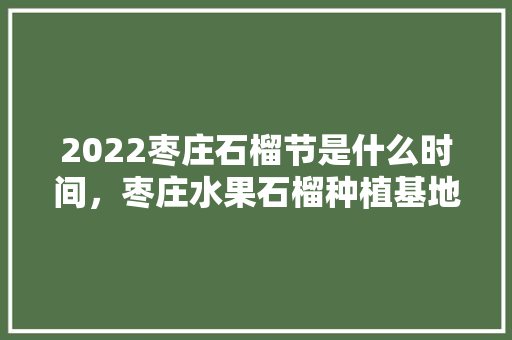 2022枣庄石榴节是什么时间，枣庄水果石榴种植基地在哪里。