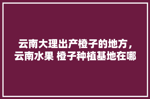 云南大理出产橙子的地方，云南水果 橙子种植基地在哪里。