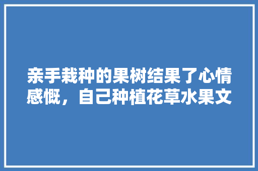 亲手栽种的果树结果了心情感慨，自己种植花草水果文案怎么写。