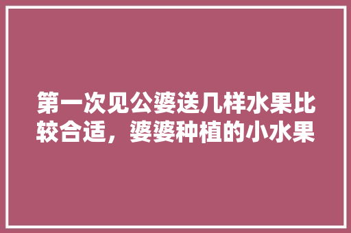 第一次见公婆送几样水果比较合适，婆婆种植的小水果作文。