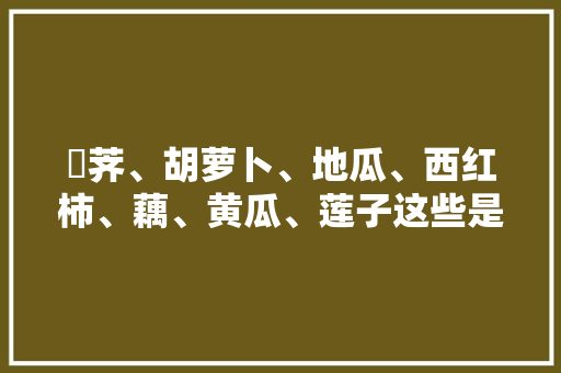 葧荠、胡萝卜、地瓜、西红柿、藕、黄瓜、莲子这些是水果还是蔬菜呢？还是食物，江苏水果藕种植基地。