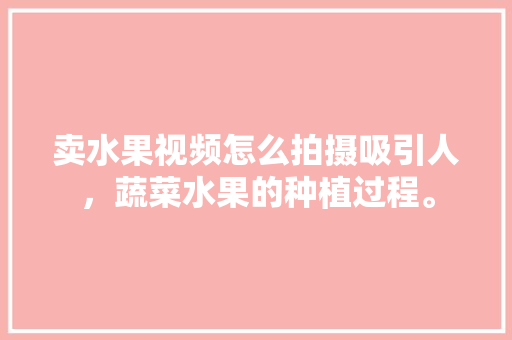 卖水果视频怎么拍摄吸引人，蔬菜水果的种植过程。