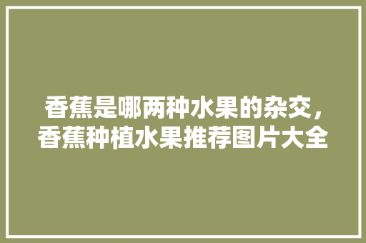 香蕉是哪两种水果的杂交，香蕉种植水果推荐图片大全。