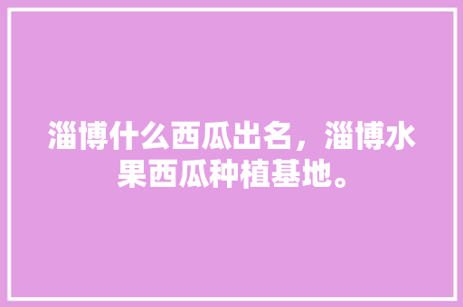 淄博什么西瓜出名，淄博水果西瓜种植基地。