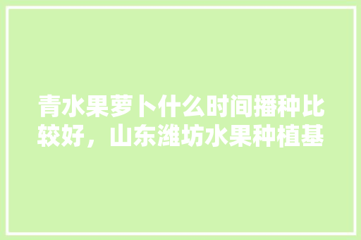 青水果萝卜什么时间播种比较好，山东潍坊水果种植基地在哪里。