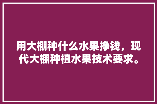 用大棚种什么水果挣钱，现代大棚种植水果技术要求。