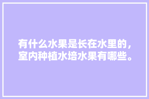 有什么水果是长在水里的，室内种植水培水果有哪些。