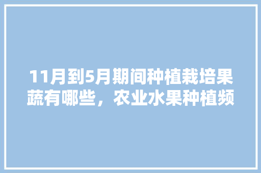 11月到5月期间种植栽培果蔬有哪些，农业水果种植频道有哪些。