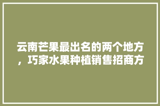 云南芒果最出名的两个地方，巧家水果种植销售招商方案。 云南芒果最出名的两个地方，巧家水果种植销售招商方案。 蔬菜种植