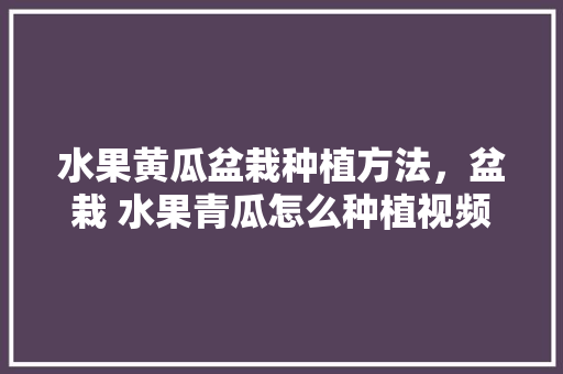 水果黄瓜盆栽种植方法，盆栽 水果青瓜怎么种植视频。