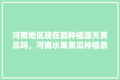 河南地区现在能种植露天黄瓜吗，河南水果黄瓜种植条件是什么。