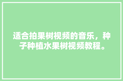 适合拍果树视频的音乐，种子种植水果树视频教程。