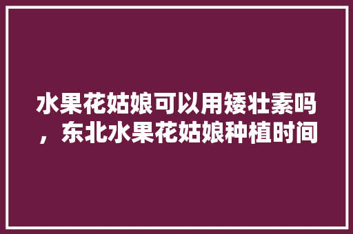 水果花姑娘可以用矮壮素吗，东北水果花姑娘种植时间。