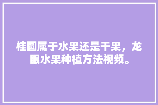 桂圆属于水果还是干果，龙眼水果种植方法视频。