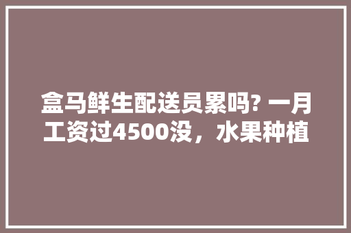 盒马鲜生配送员累吗? 一月工资过4500没，水果种植工资高吗。