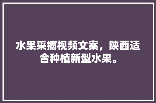 水果采摘视频文案，陕西适合种植新型水果。