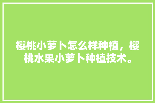 樱桃小萝卜怎么样种植，樱桃水果小萝卜种植技术。