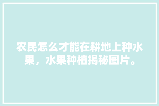 农民怎么才能在耕地上种水果，水果种植揭秘图片。