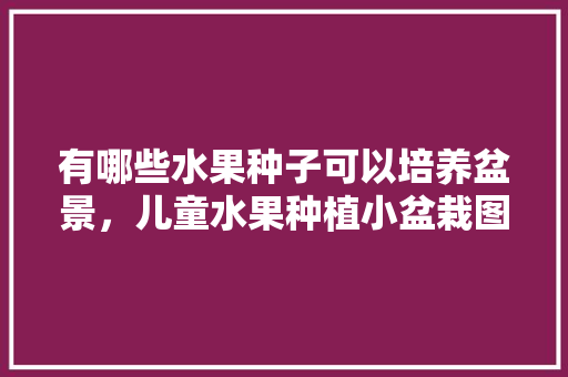 有哪些水果种子可以培养盆景，儿童水果种植小盆栽图片。