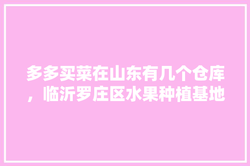 多多买菜在山东有几个仓库，临沂罗庄区水果种植基地在哪里。 畜牧养殖