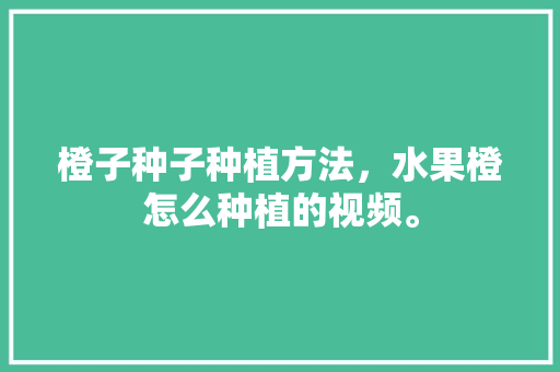 橙子种子种植方法，水果橙怎么种植的视频。