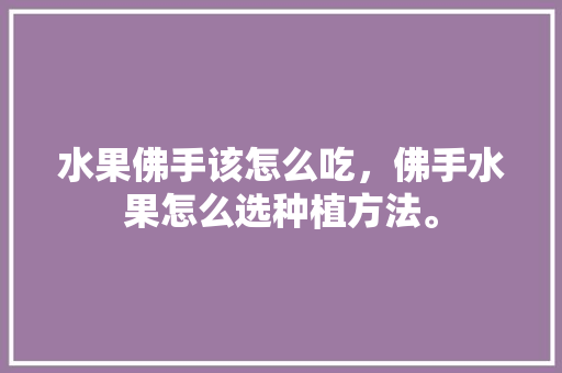 水果佛手该怎么吃，佛手水果怎么选种植方法。