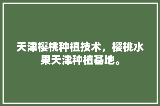 天津樱桃种植技术，樱桃水果天津种植基地。