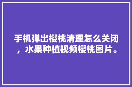 手机弹出樱桃清理怎么关闭，水果种植视频樱桃图片。