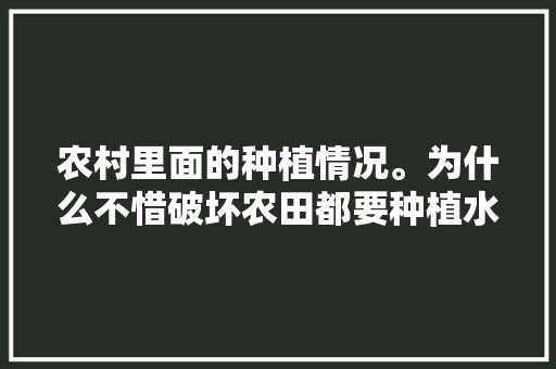 农村里面的种植情况。为什么不惜破坏农田都要种植水果，水果为什么要种植呢。 畜牧养殖