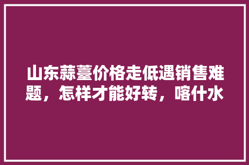 山东蒜薹价格走低遇销售难题，怎样才能好转，喀什水果黄瓜种植时间。 山东蒜薹价格走低遇销售难题，怎样才能好转，喀什水果黄瓜种植时间。 家禽养殖