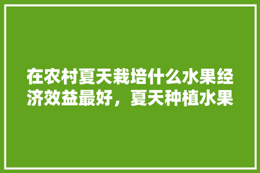 在农村夏天栽培什么水果经济效益最好，夏天种植水果价格多少。 畜牧养殖