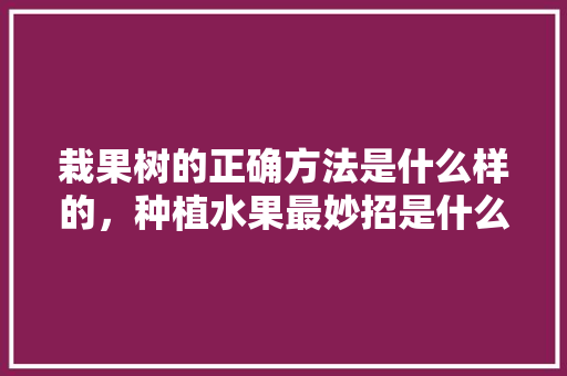 栽果树的正确方法是什么样的，种植水果最妙招是什么。 蔬菜种植