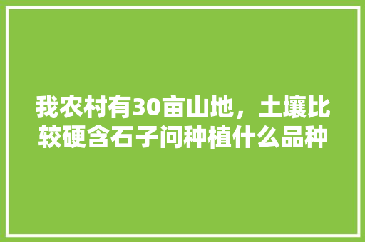 我农村有30亩山地，土壤比较硬含石子问种植什么品种的果树好，石头种植什么水果甜度高。 畜牧养殖