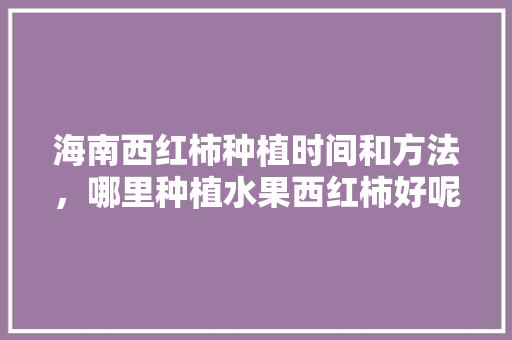 海南西红柿种植时间和方法，哪里种植水果西红柿好呢视频。 蔬菜种植