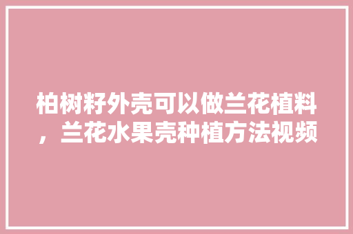 柏树籽外壳可以做兰花植料，兰花水果壳种植方法视频。 土壤施肥