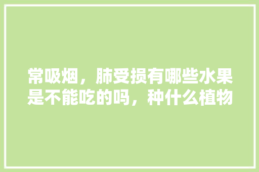 常吸烟，肺受损有哪些水果是不能吃的吗，种什么植物对肺好。 水果种植